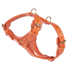 William Walker Leather Dog Harness | Plain Collection | Amber