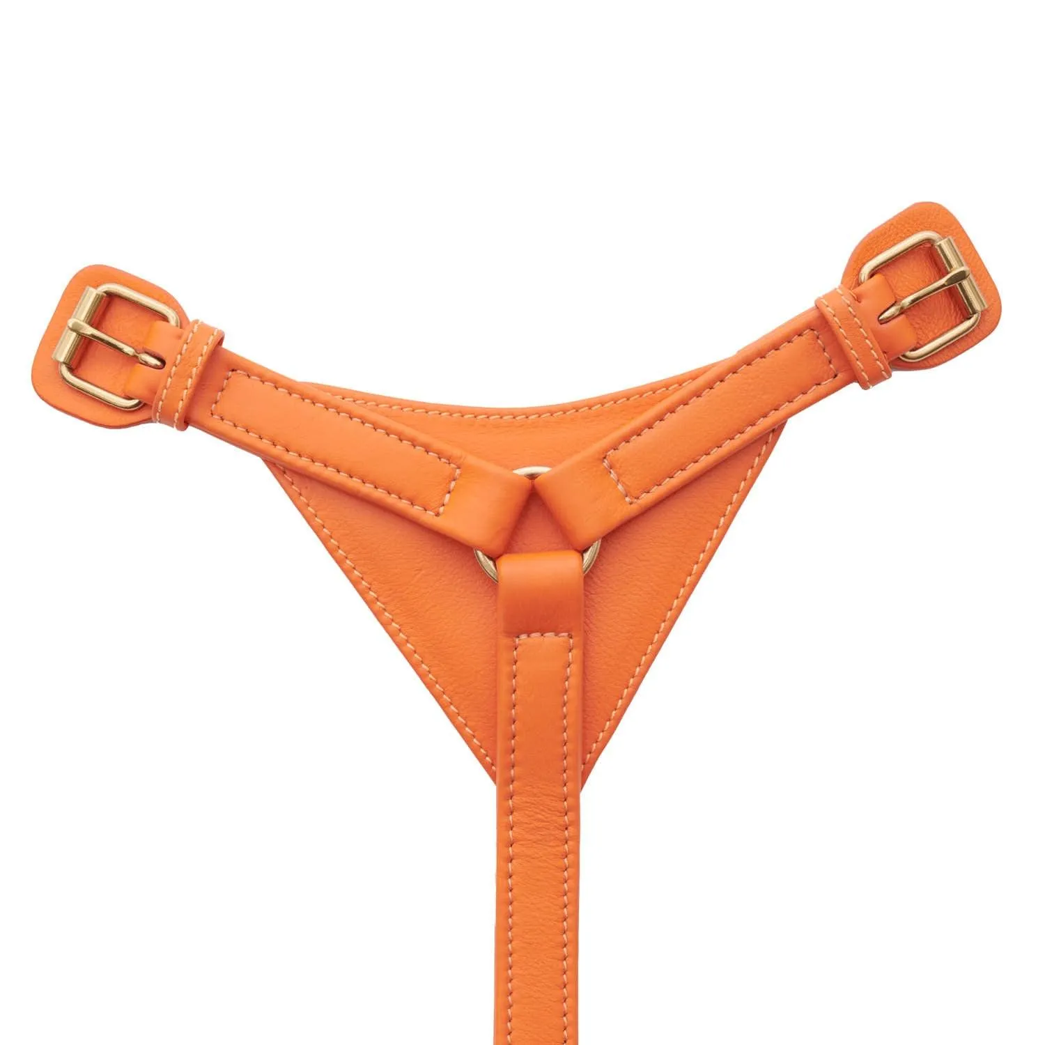 William Walker Leather Dog Harness | Plain Collection | Amber