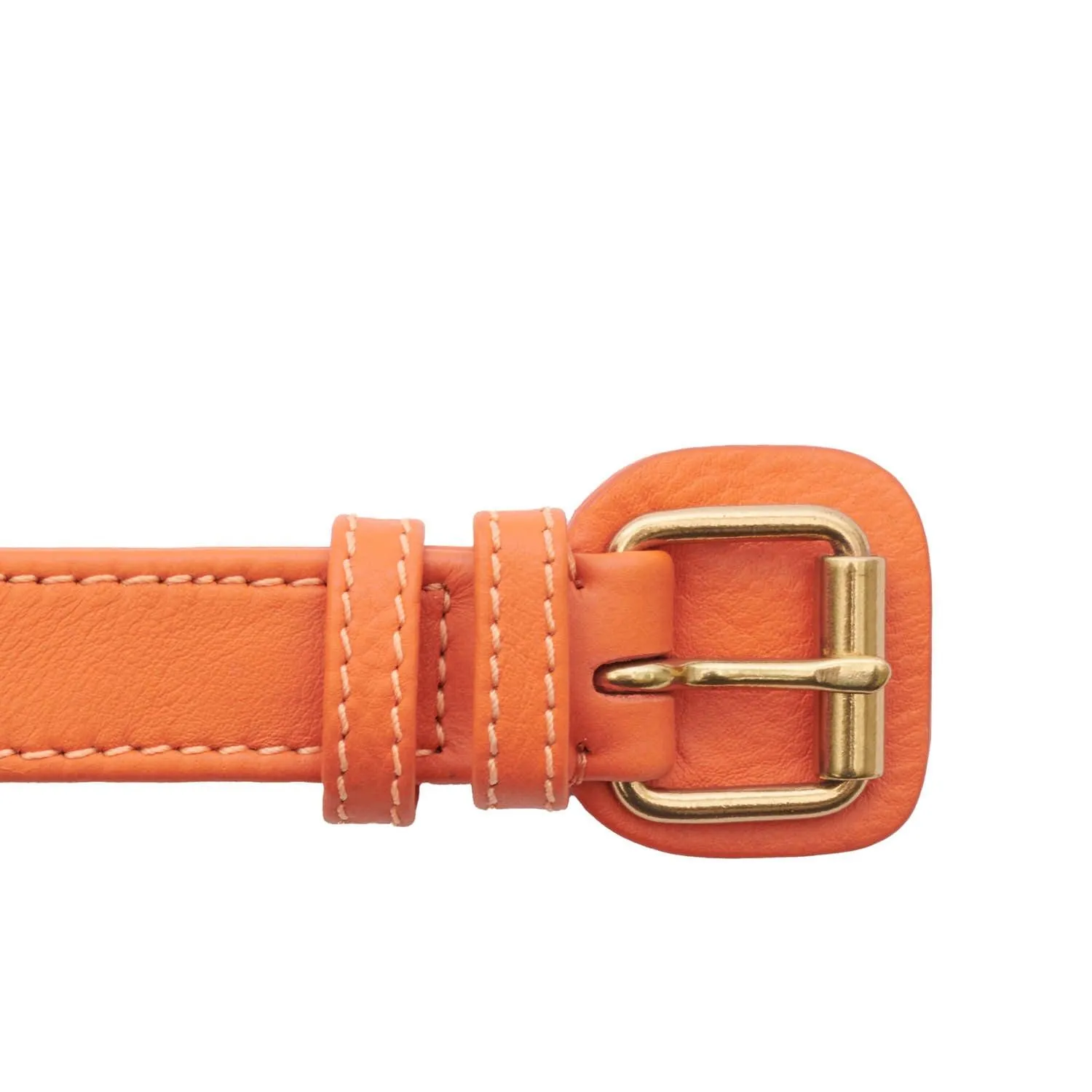 William Walker Leather Dog Harness | Plain Collection | Amber