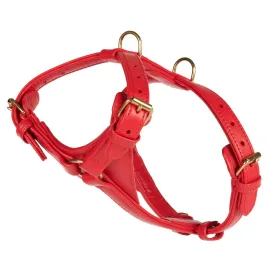 William Walker Leather Dog Harness | Plain Collection | Chili