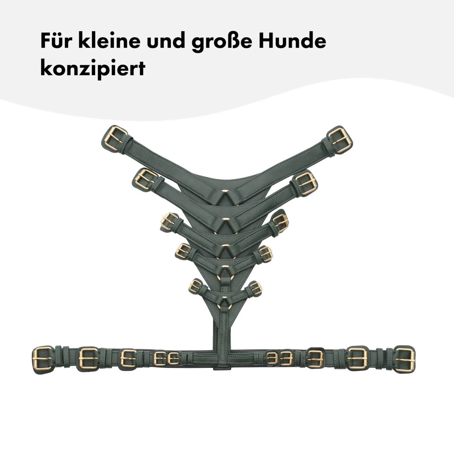 William Walker Leather Dog Harness | Plain Collection | Dark Moss