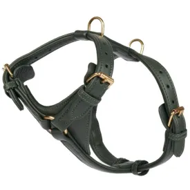 William Walker Leather Dog Harness | Plain Collection | Dark Moss