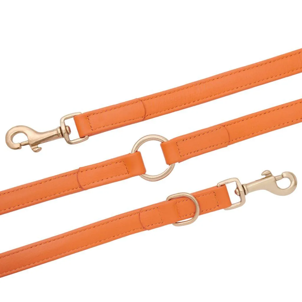 William Walker Leather Dog Lead | Plain Collection | Amber