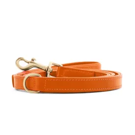 William Walker Leather Dog Lead | Plain Collection | Amber