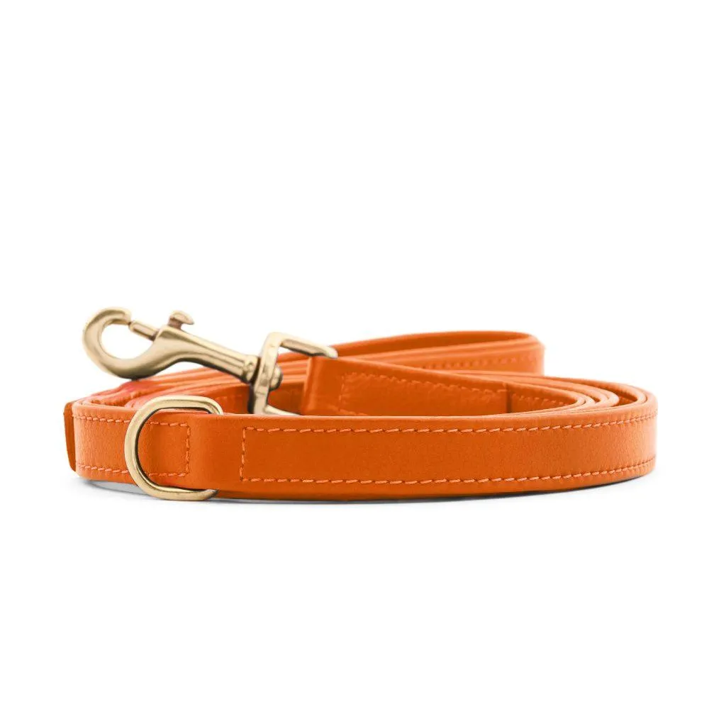 William Walker Leather Dog Lead | Plain Collection | Amber