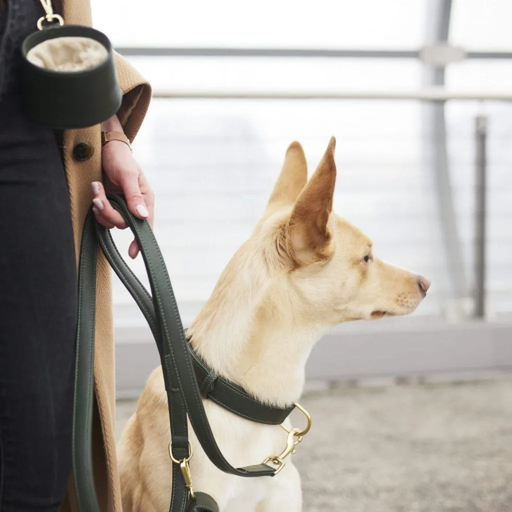 William Walker Leather Dog Lead | Plain Collection | Dark Moss