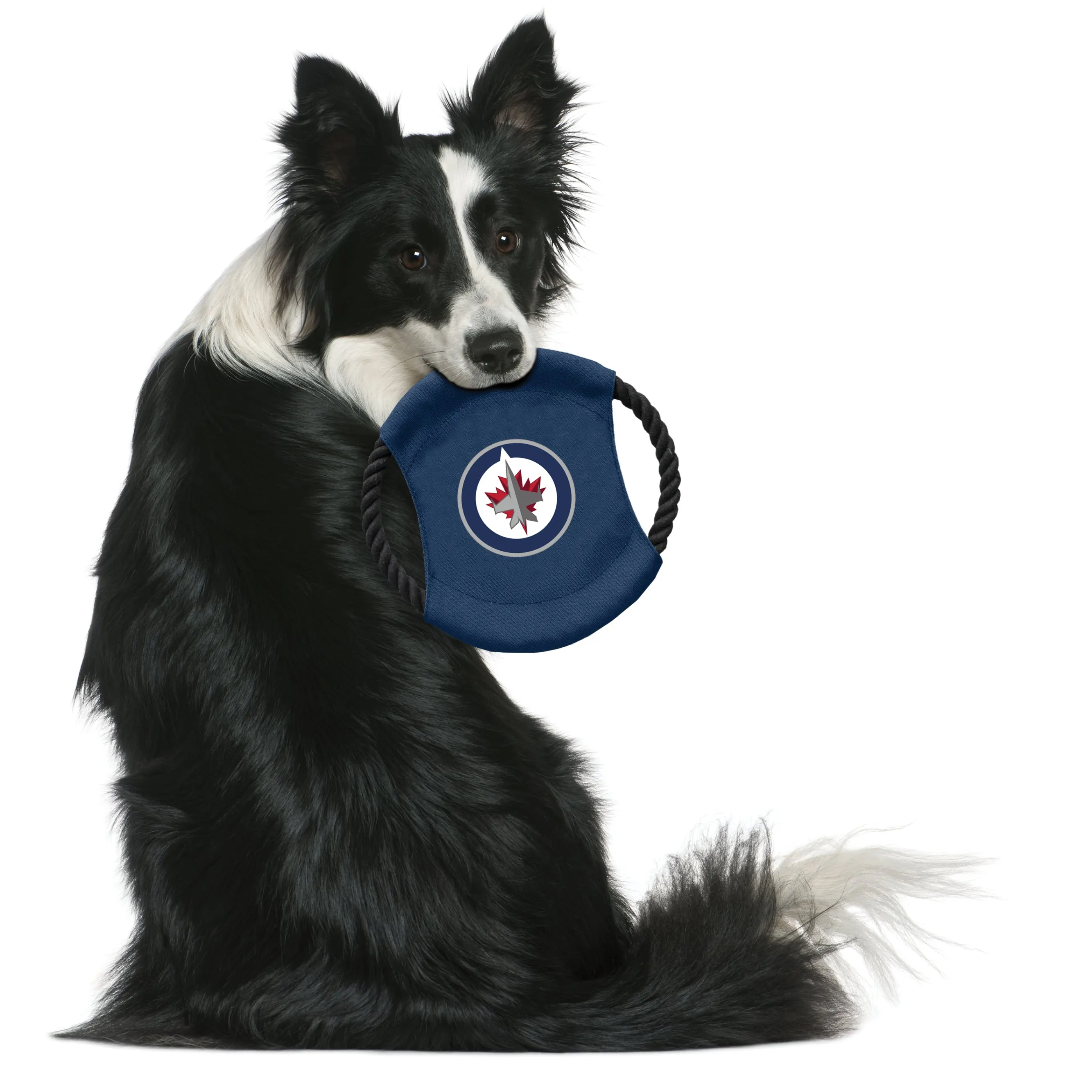 Winnipeg Jets Team Flying Disc Pet Toy